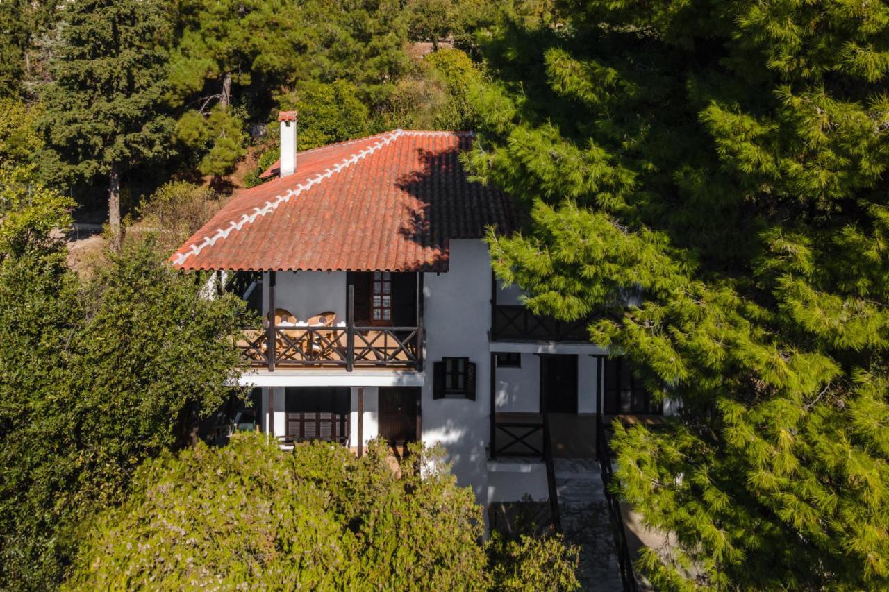 Beach Front Vintage Villa Kalliktratis Nea Kallikrateia Zewnętrze zdjęcie